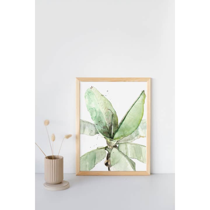 Banana plant A4 for wholesale by Veer illustratie