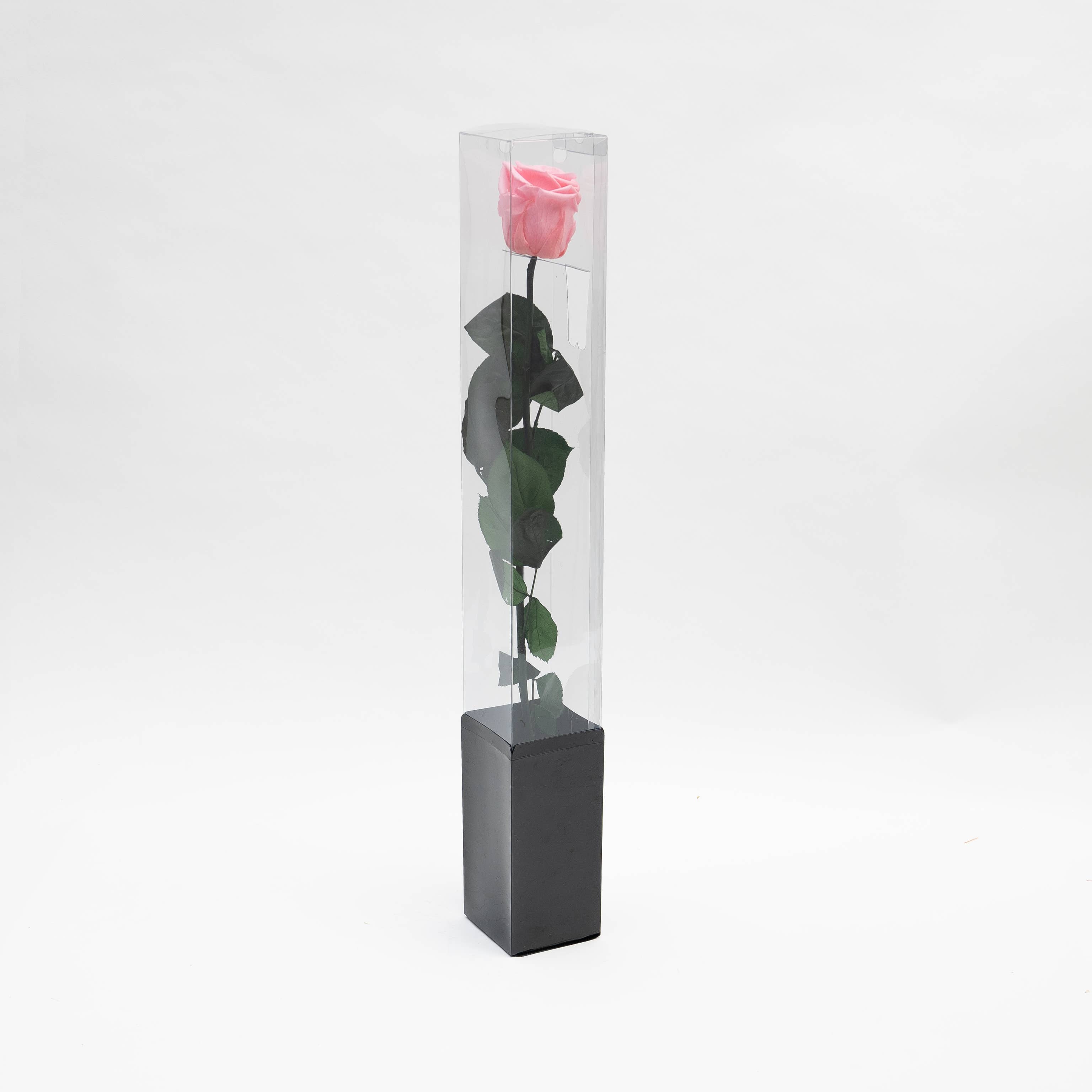 La Rose Preserved Beauty – wholesale Artificial flowers – Long Stem Rose | Eternal Beauty2