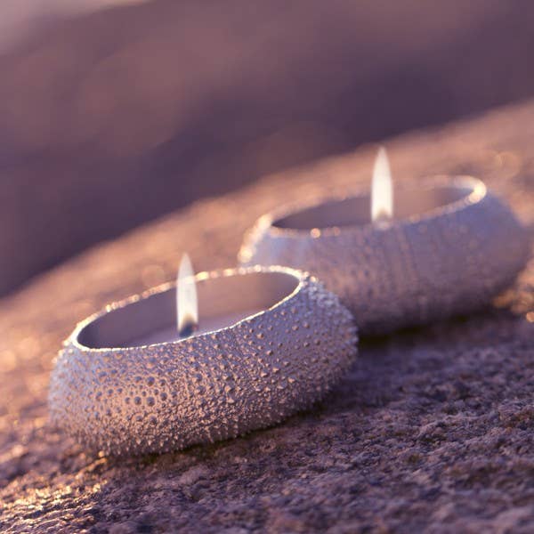 Bougeoir à thé Oursin pour la vente par Amos Pewter