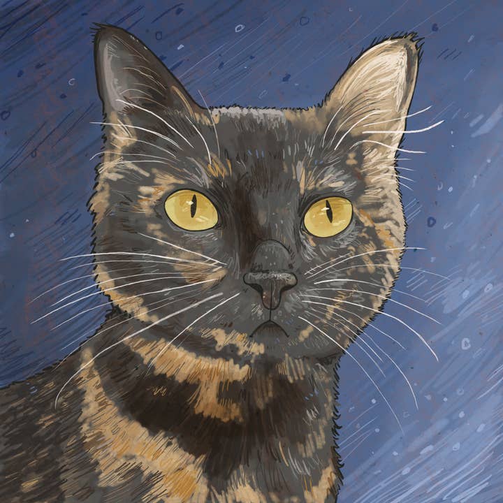 Art Fimbel - Wholesale Art Print - Tortie Cat, Art Print, 8 x 8 inch, Signed & Numbered1