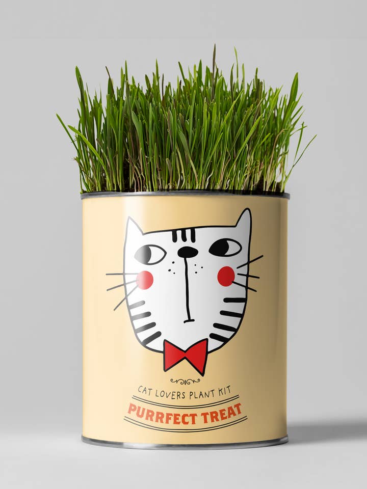 Purrfect Treat. Eco Grow Your Own Plant Kit. for wholesale by The Plant Gift Co.