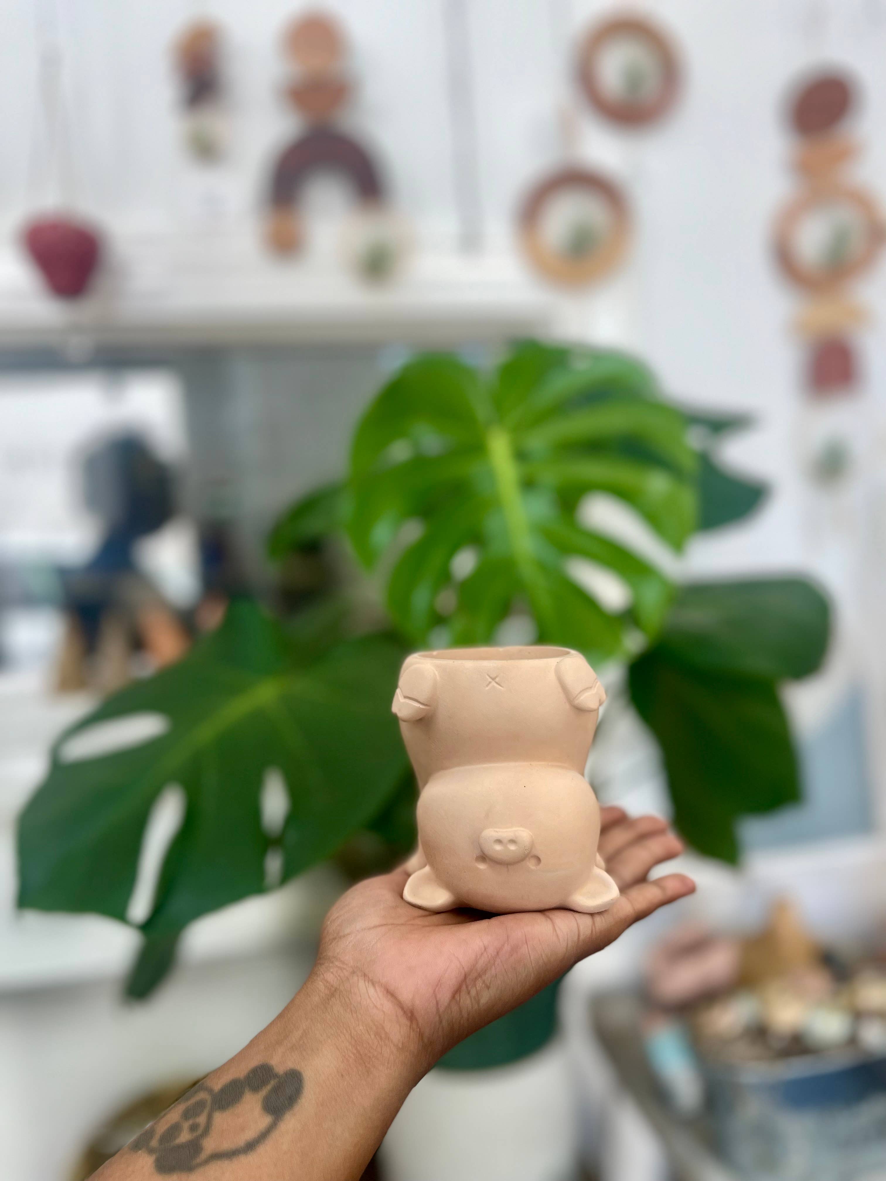 Queen City Crete - Wholesale Plant pot - Concrete Pig Planter0