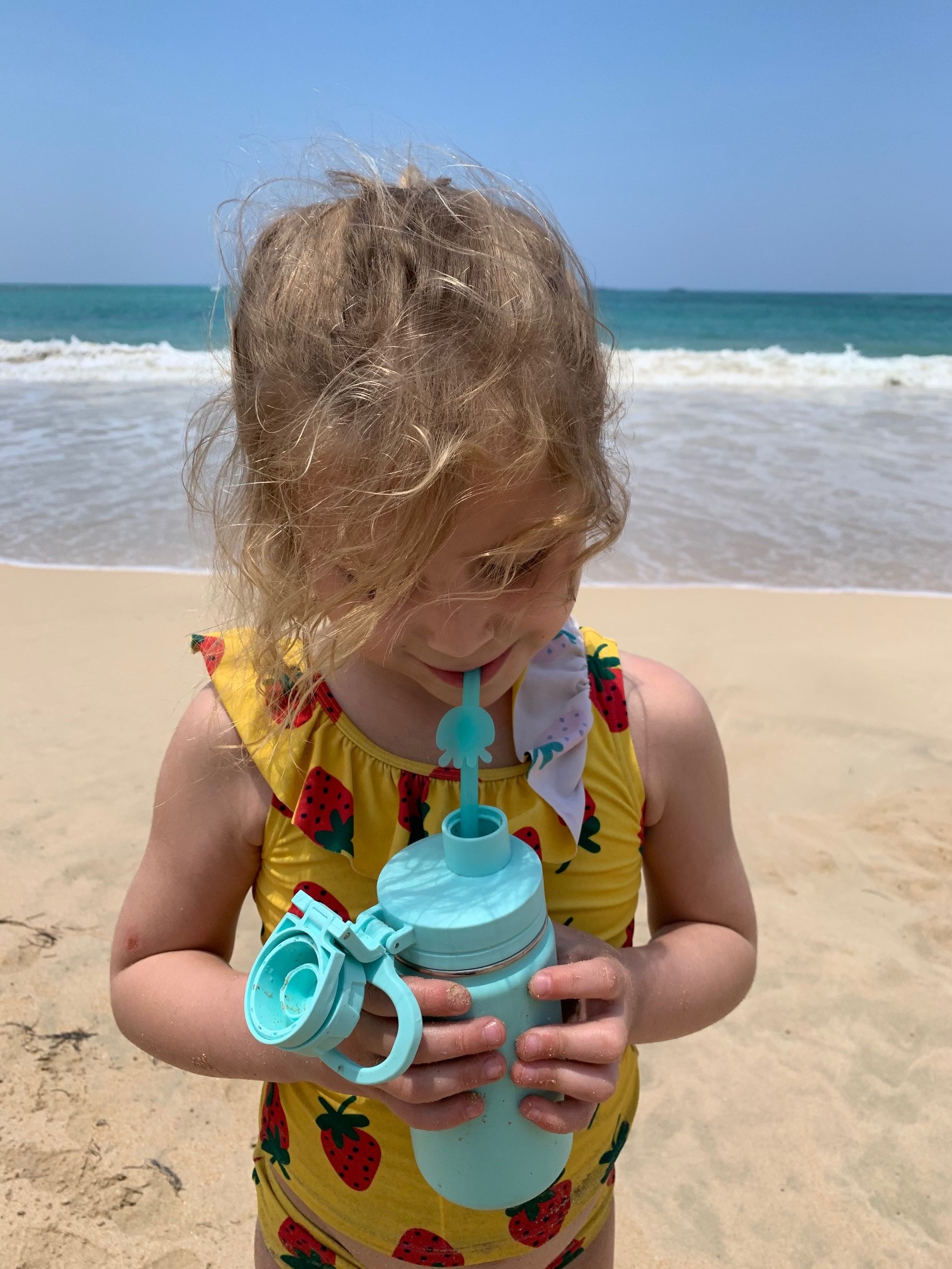 Amalka + Albert - Wholesale Drinking Straw - Animal Friend Straws - Jelly and Llama 2 Pack2