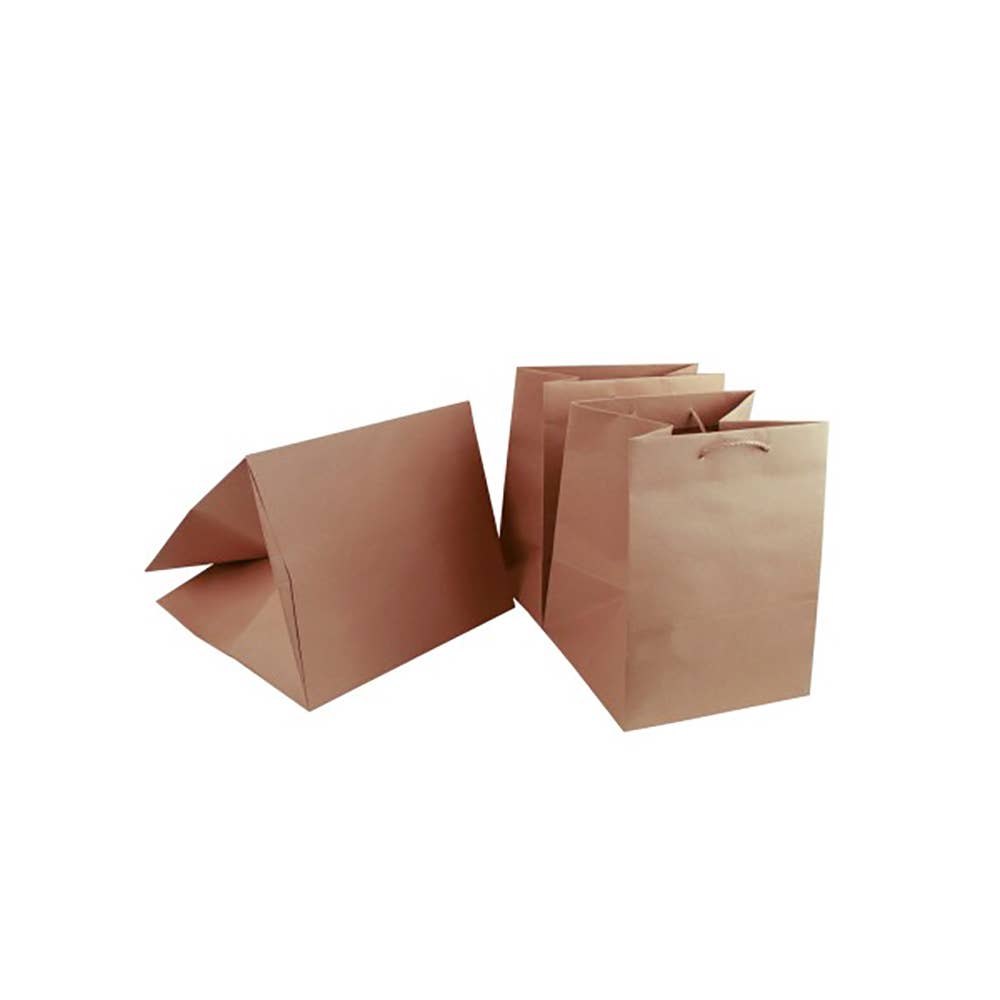 Havana Paper Bag Food Delivery Kraft Avana for wholesale on Faire7