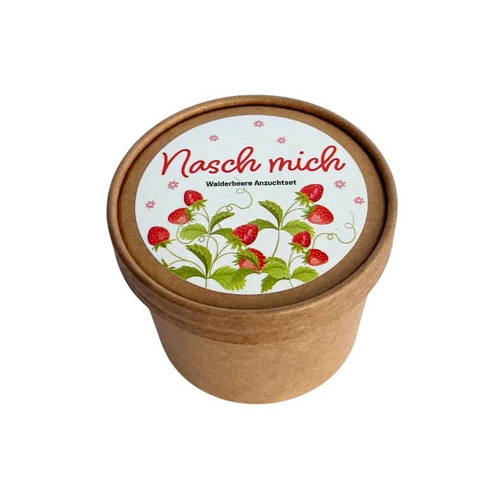 Vildjordgubbe Krukodlingsset för wholesale av Wunderle GmbH