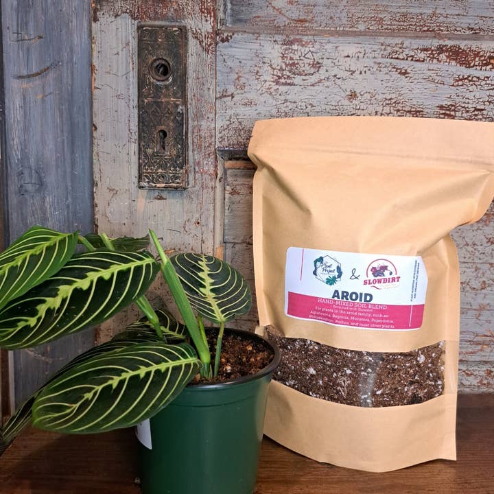 The plant project - Wholesale Planting/Potting Soil - Aroid Hand Mixed Soil