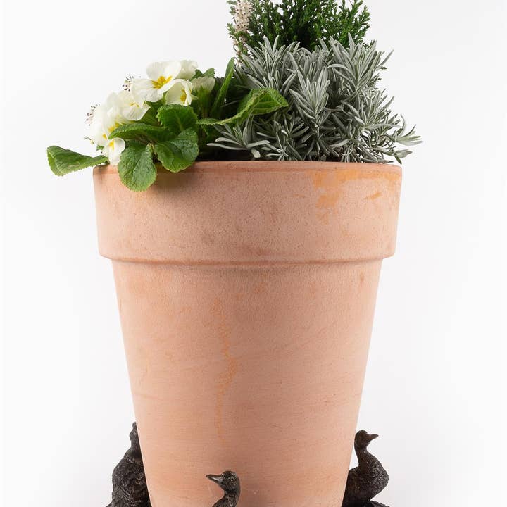 Jardinopia UK - Vente Pot - Pieds de pot de fleurs Aylesbury Duck - Set de 34
