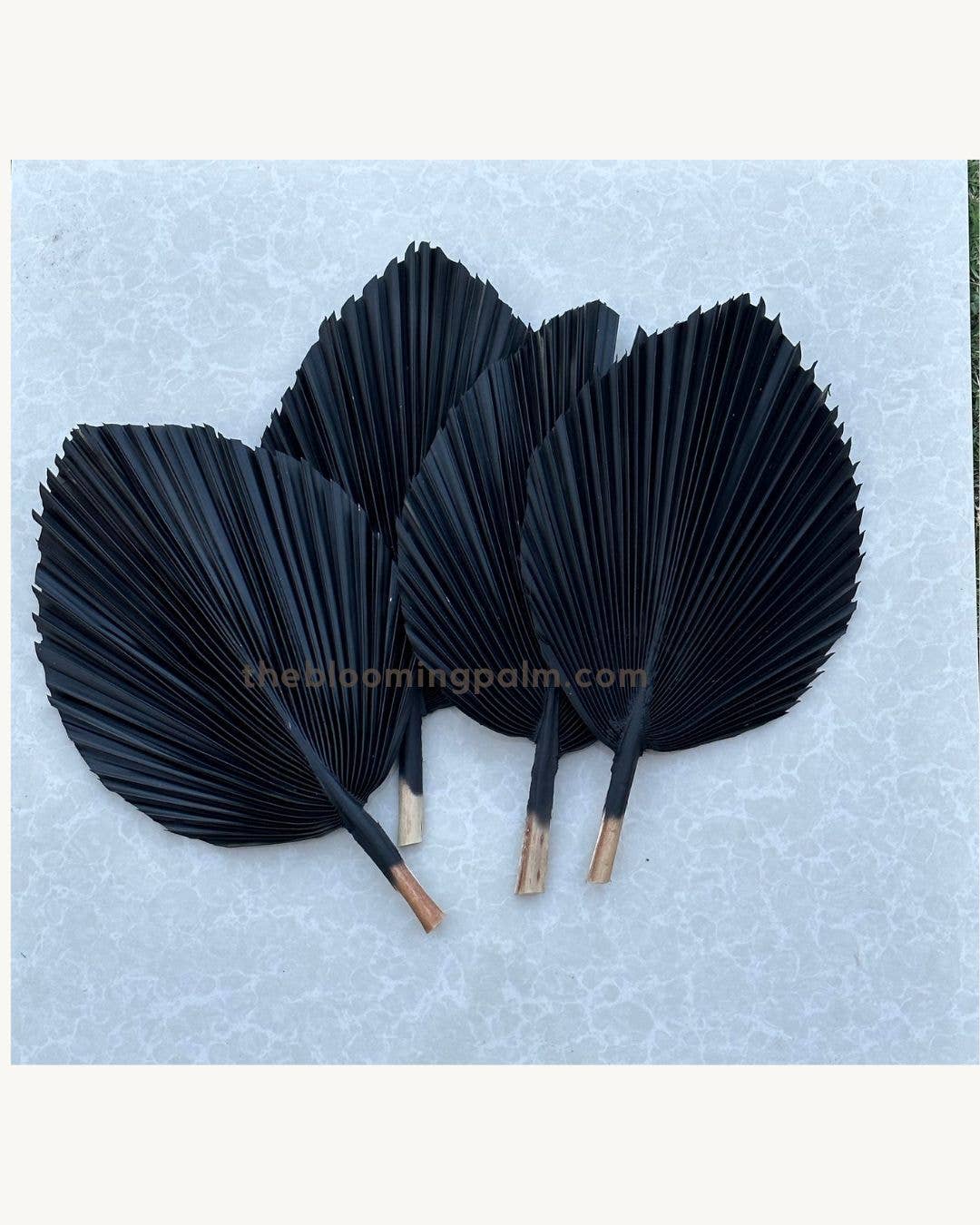 The Blooming Palm - Wholesale Retailer Sample - Home Decor - 14" PINK SunDried Painted Palm Leaf Decor, SAME DAY SHP  2