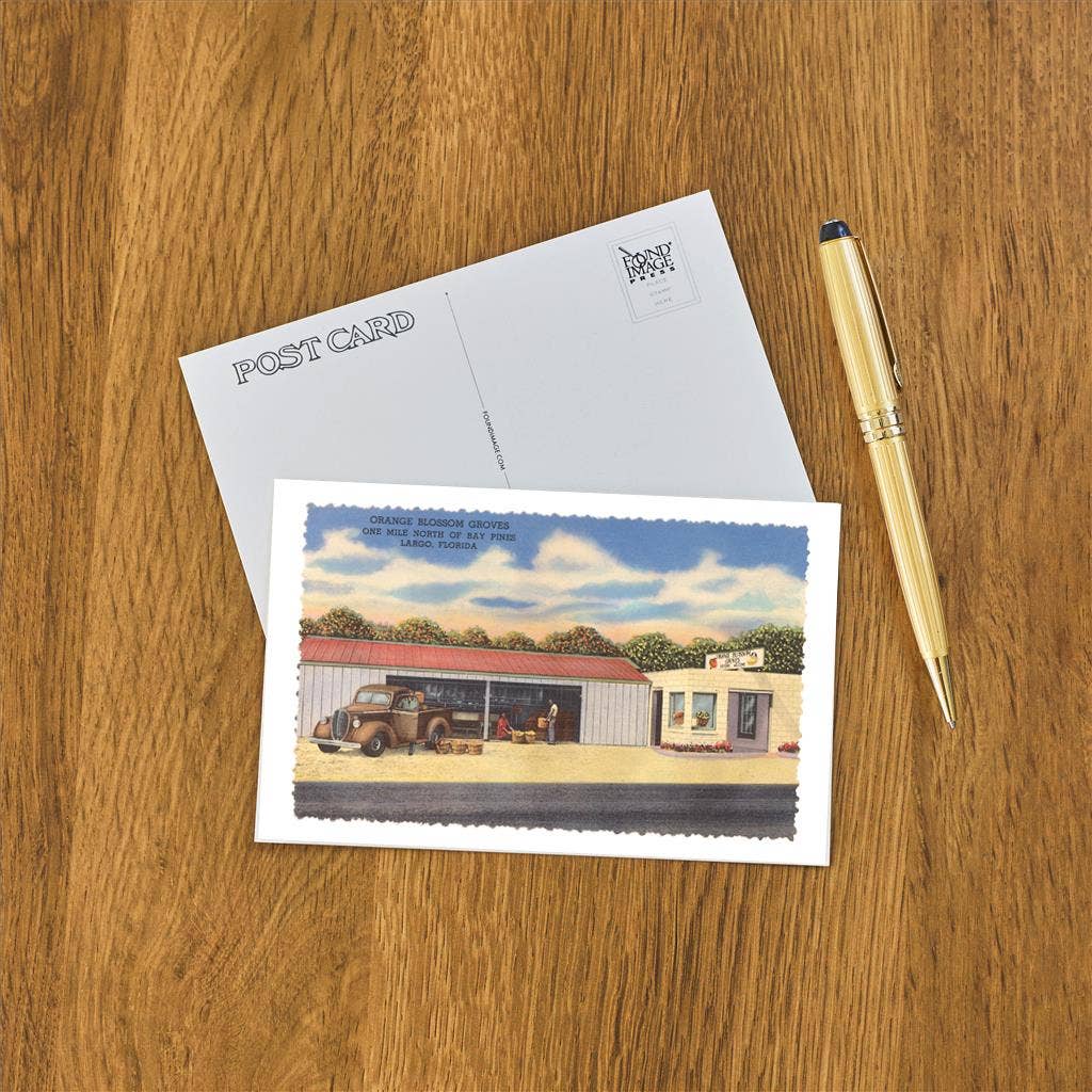 Found Image Press - Wholesale Postcard - Postcard FL-1085 Fruit Stands, Largo, Florida1