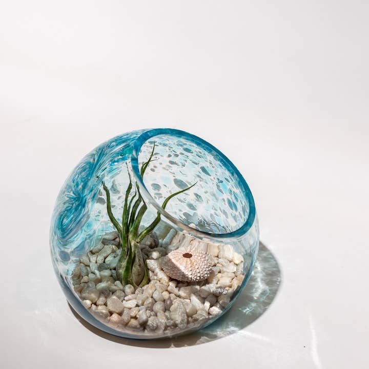 ApricotMint - Wholesale Terrarium - 7" Hand Blown Art Glass Terrarium