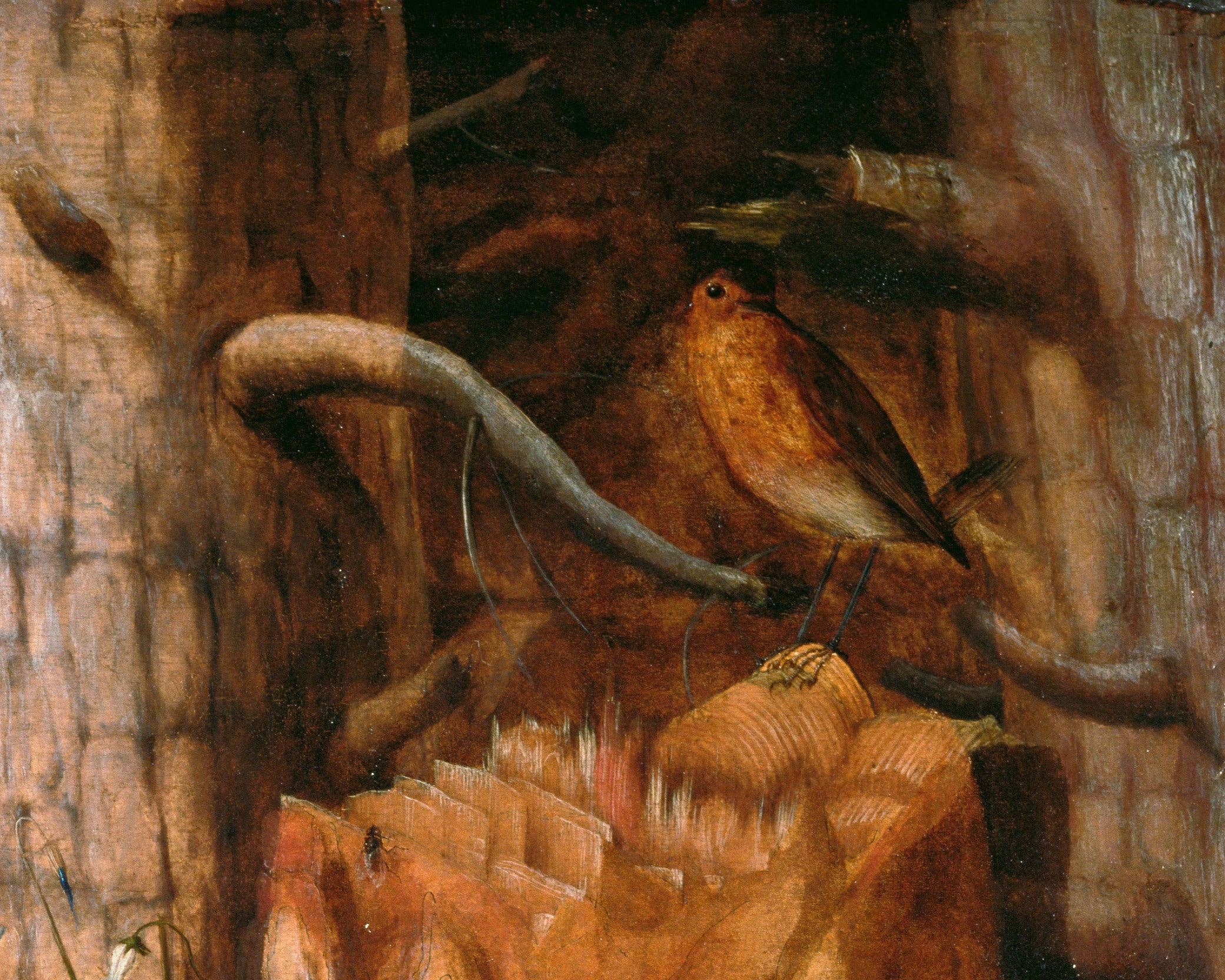 Rock Paper Scissors Wall Art - Vente Affiche d'art - Art mural d’animaux de la forêt | Un lièvre dans la forêt enchantée | Nature vintage avec lapin, fleurs, papillon, oiseau, escargot, lézard6