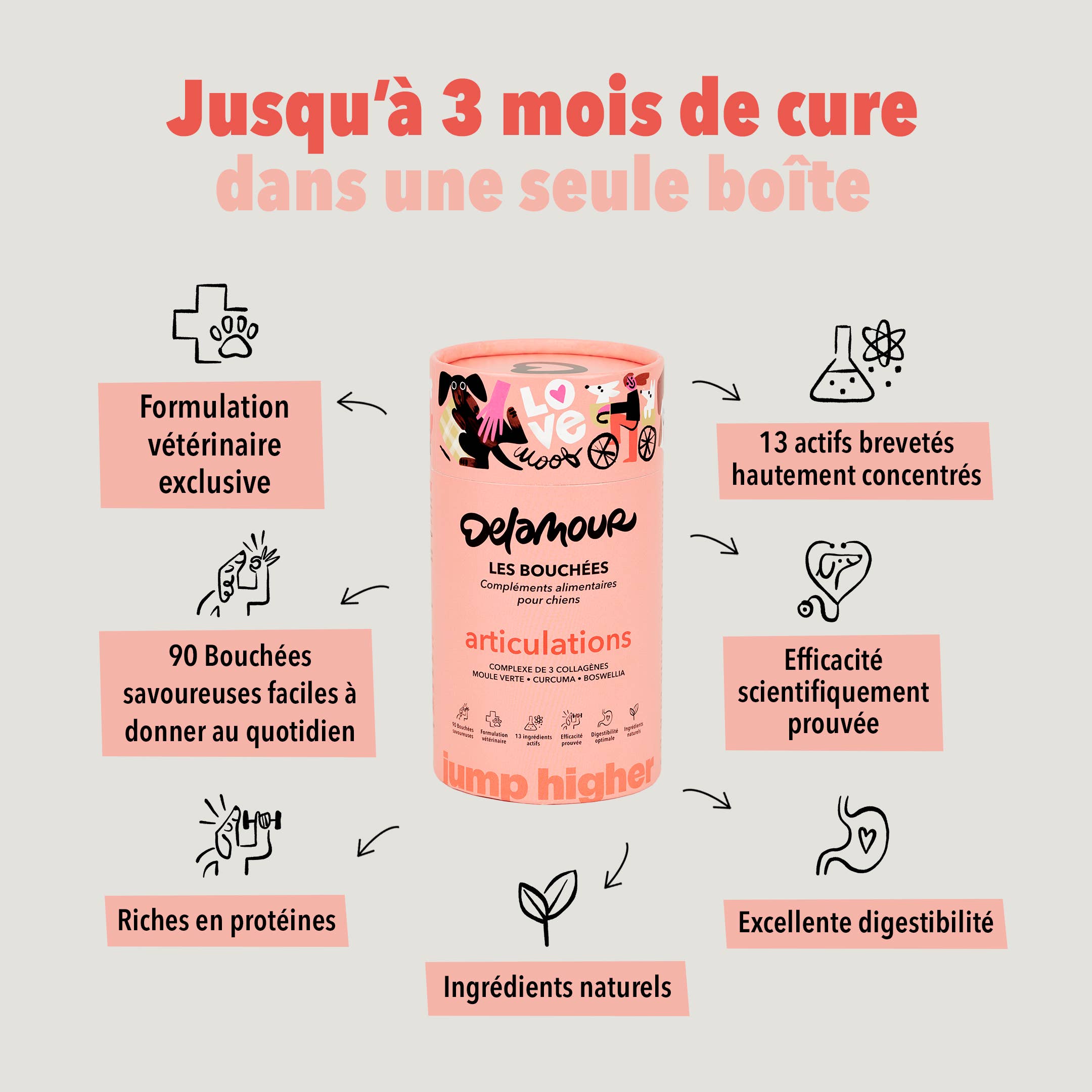 Delamour - Wholesale Pet Supplement - Dog - Les Bouchées - 90 chews to support Joints (270g)3