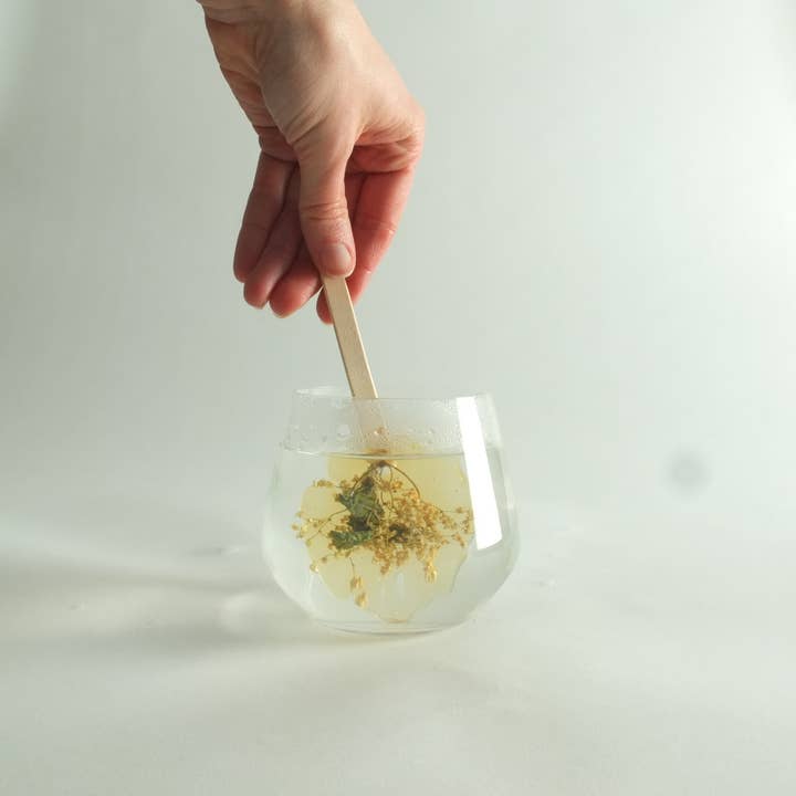 Fleurs d'hiver - Wholesale Loose Tea - Infusion lolly - Elderflower & Mint2