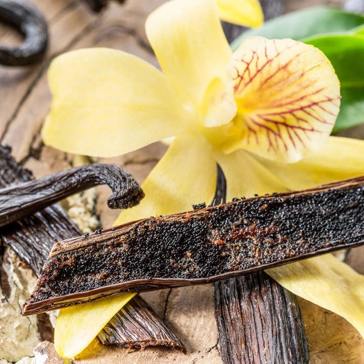 Vanilla Musk Incense Sticks for wholesale by Beaches of Tunisia, LLC