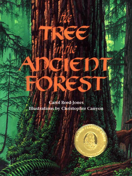 Tree in the Ancient Forest, The for wholesale by Sourcebooks