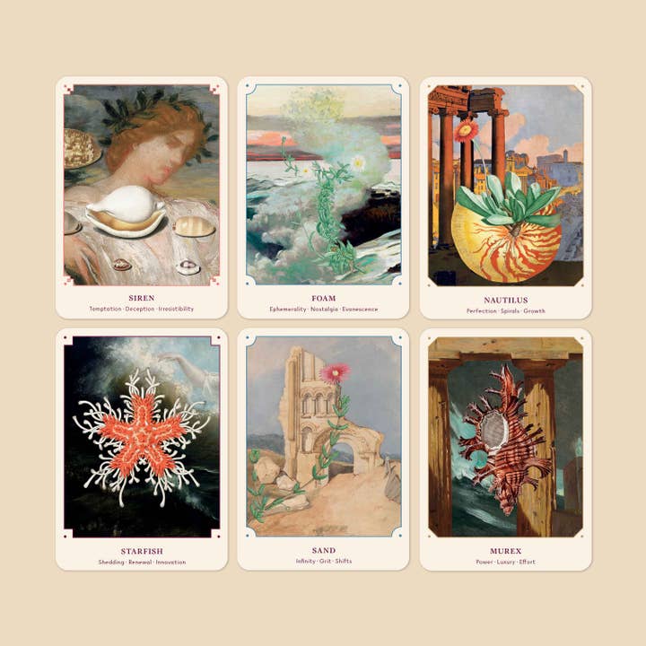 Broccoli - Wholesale Tarot Cards - The Seashell Oracle: 44 Card Deck and Guidebook