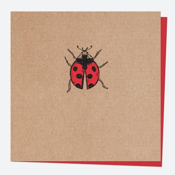 Blank Greetings Card - Bug Love - Ladybird for wholesale by Dotty About Paper
