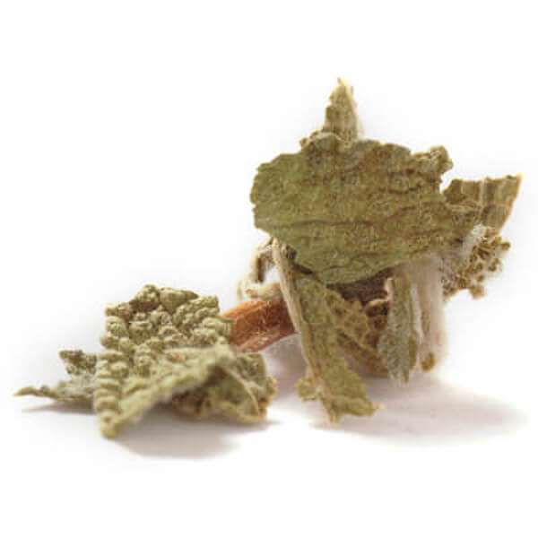 Eclipse Organics - Wholesale Herbs - Organic Thyme Leaf