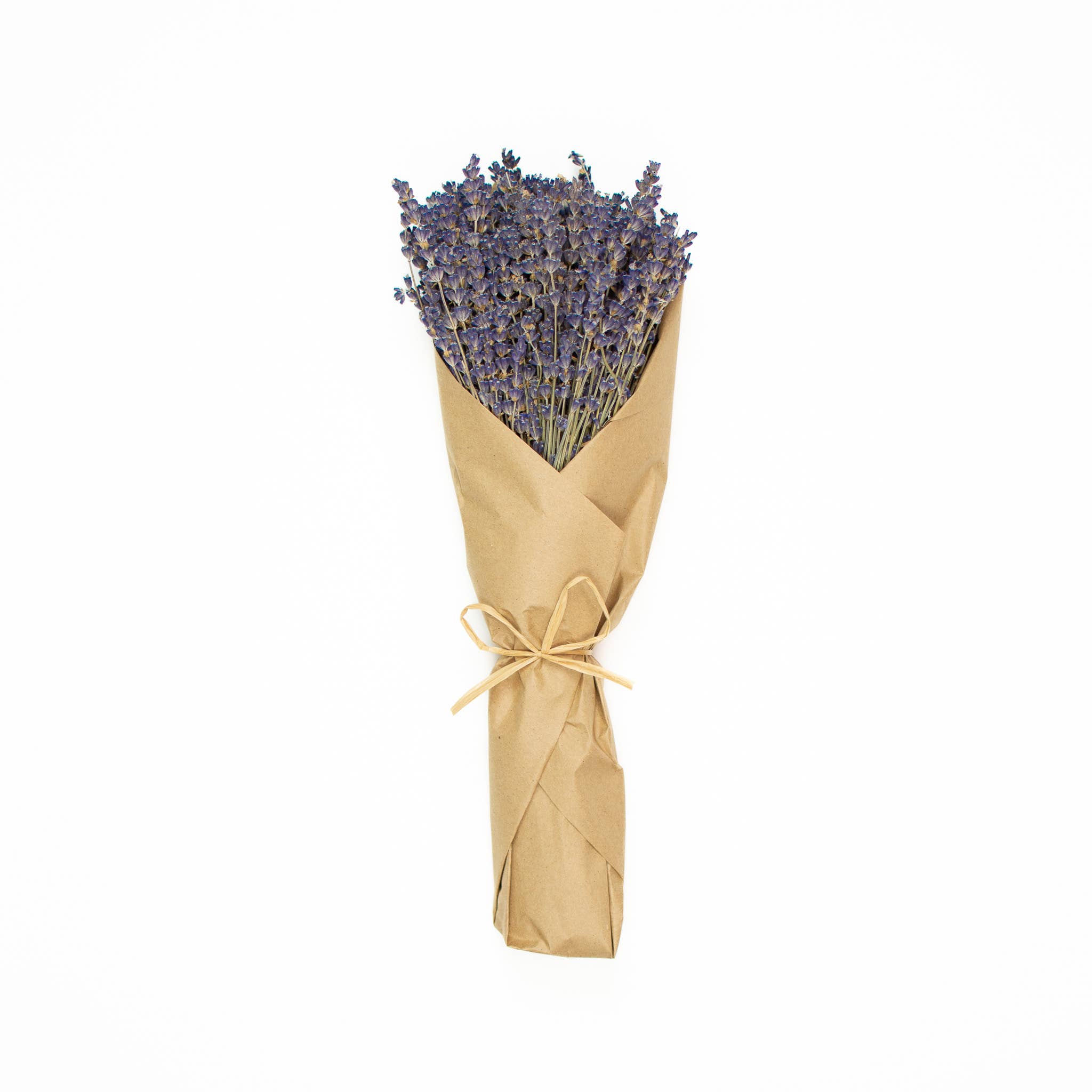 Mills Floral Company – wholesale Dried/pressed flowers – French Lavender Wrapped in Kraft Paper