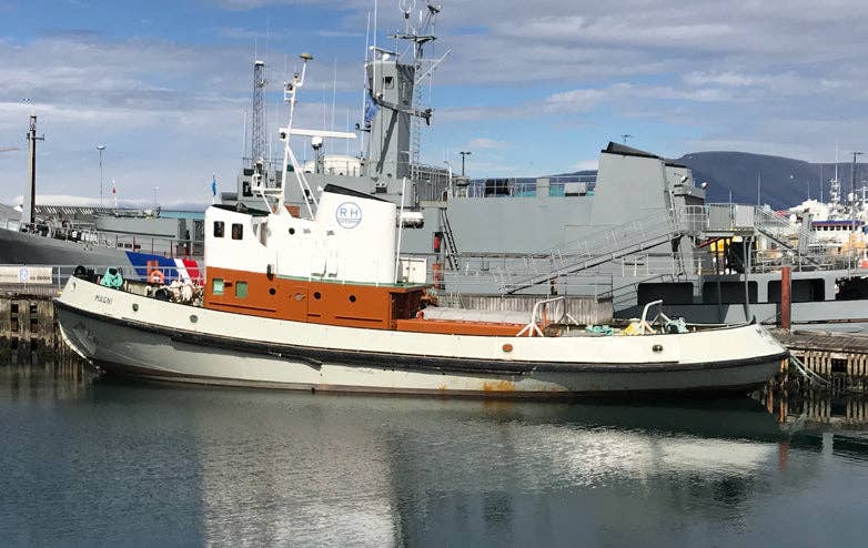 Icelandic+ - Wholesale Pet Treats - Dog - Cod & Shrimp Combo Bites Fish Dog Treats5