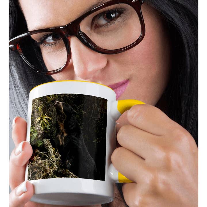 3dRose - Wholesale Coffee Mug - 3dRose, Spectacled or Andean Bear, Andes, Ecuador - SA07 POX2246 - Pete Oxford, Mug1