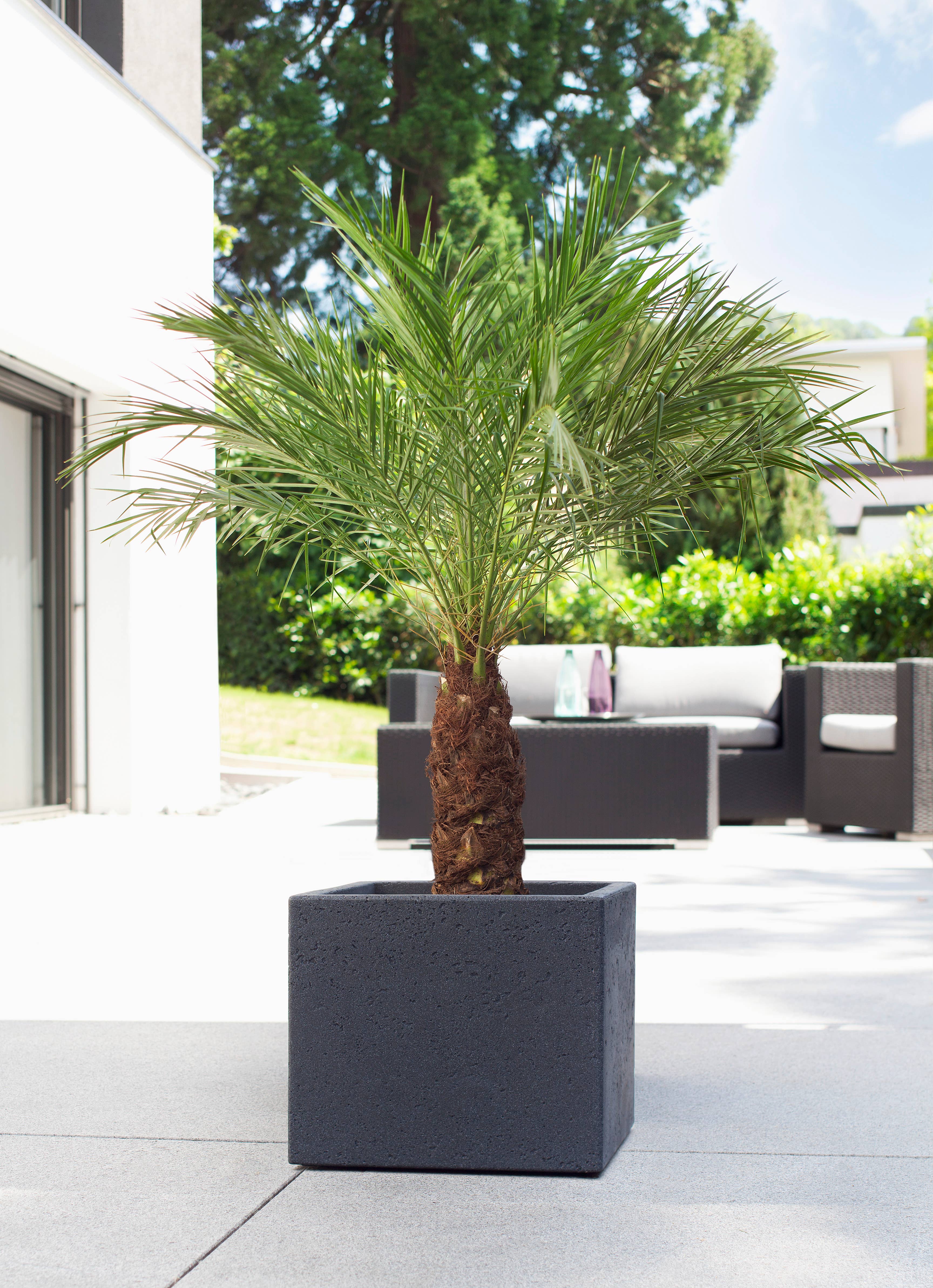 Scheurich - Wholesale Plant Pot - C-Cube 240 plastic flower pot/planter3