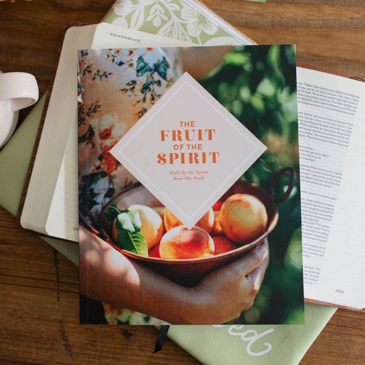 The Fruit of the Spirit Bible Study for wholesale by The Daily Grace Co