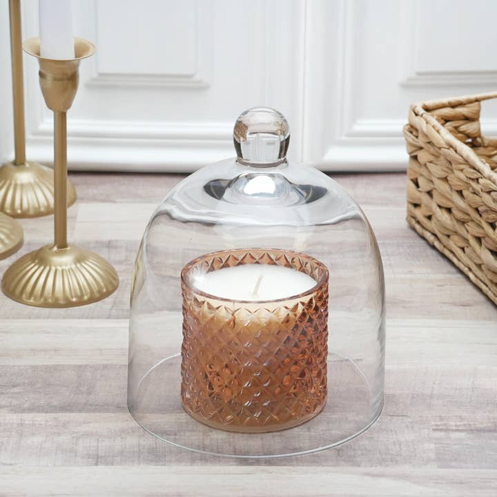 Bard's – wholesale Decorative tabletop object – Bard's 6" x 7" Bell Jar Glass Display Dome Cloche1