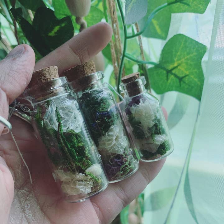 Leafy Ann Art – Engroshandel Apotekerkrukke – Håndlavet apotekerkrukke med slangeskind og mos4