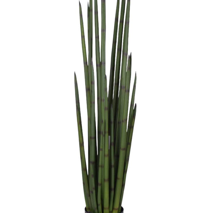 Herbe Serpent 4' FP1339 pour la vente par Replica Plants and Decor