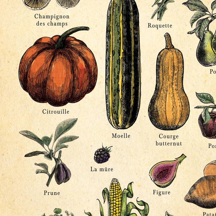 Hannah Turpin Designs – wholesale Poster – FRENCH Fruit and Vegetable poster, kitchen food print, Resta