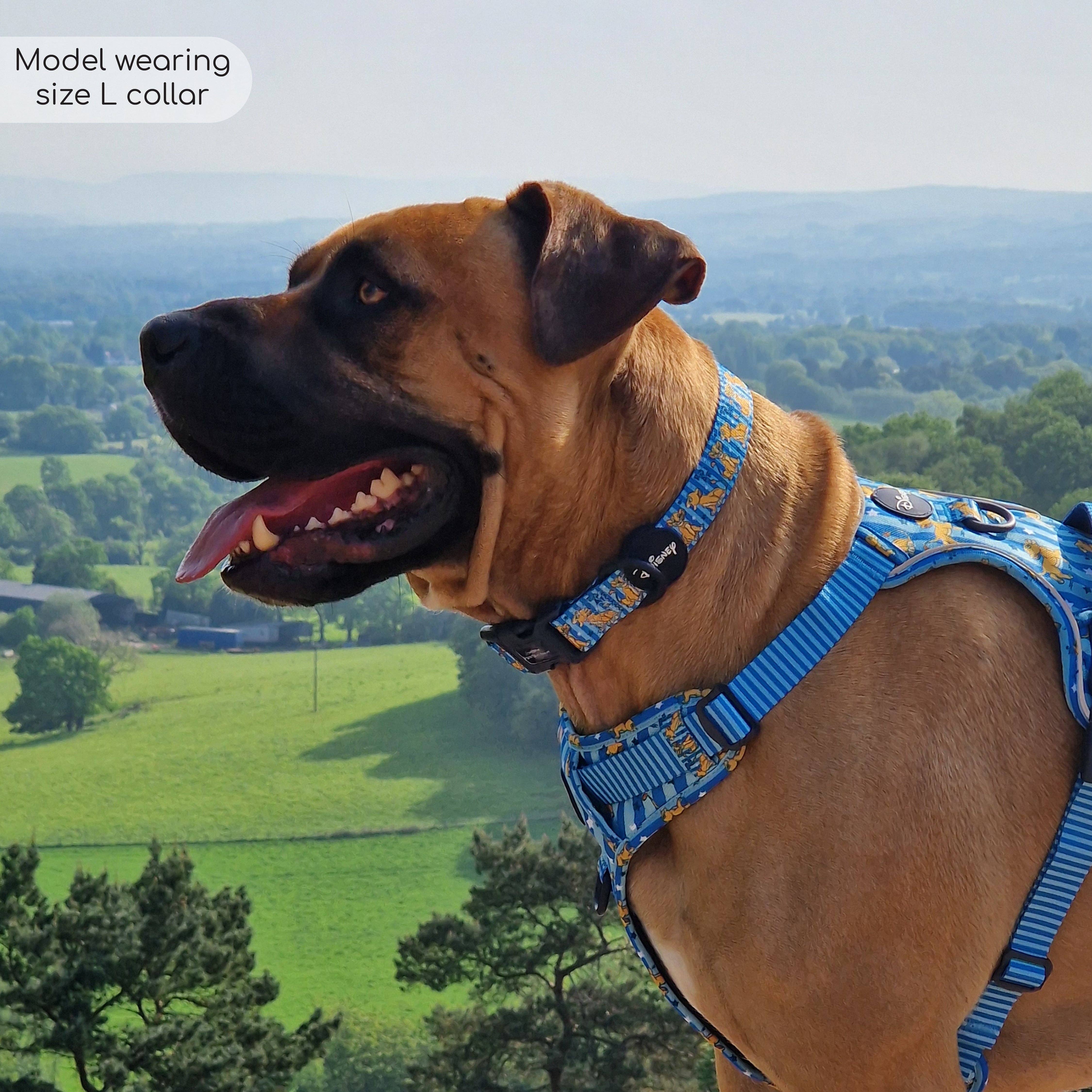 Pawsome Paws - Wholesale Pet Collar - Dog - Disney© Collar - Simba4