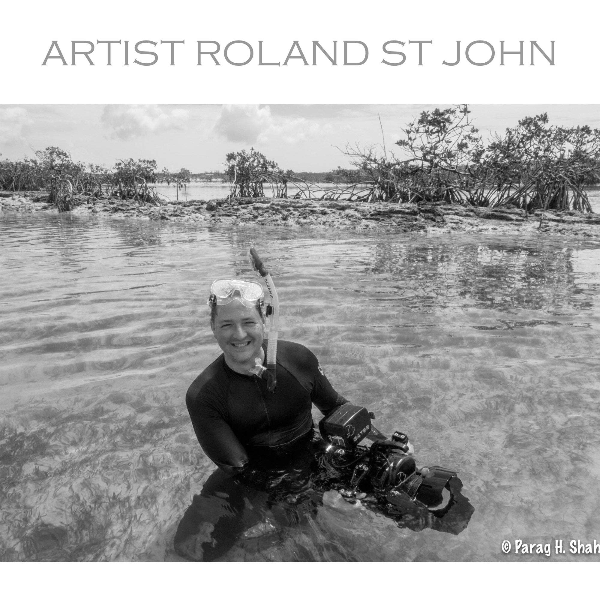 Big Blue by Roland St John - Wholesale Keychain - Unisex - Hammerhead Shark Keychain - Sea Life Collection - Pewter8