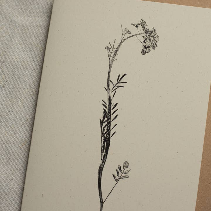 Alicia Breakspear - Wholesale Everyday Greeting Card - Lady's Smock Flower Greeting Card A6 Recycled Card