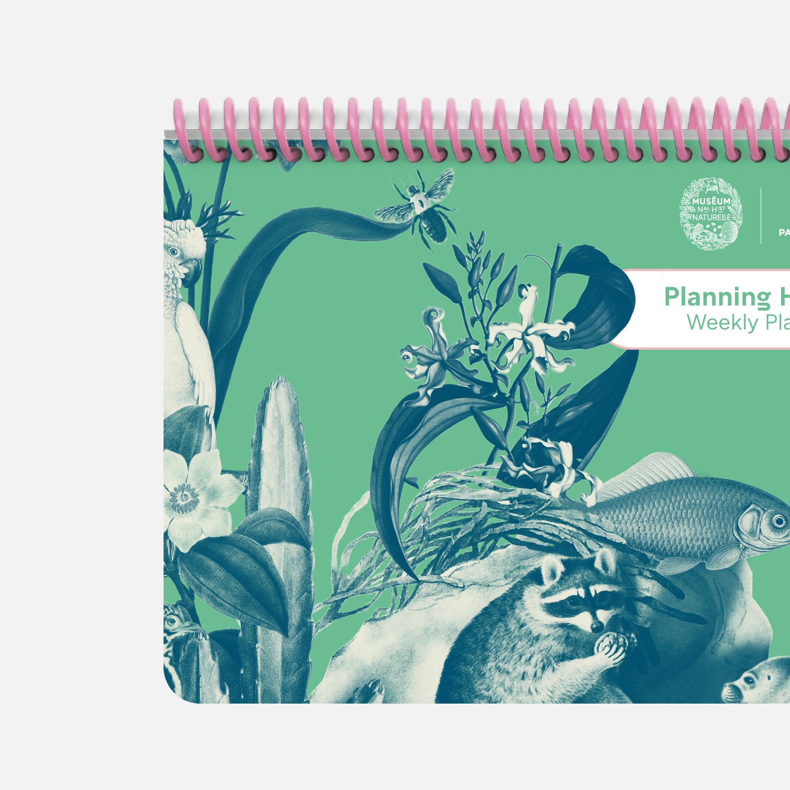 Papier Tigre – Agenda por atacado – Planeador semanal - Velin1