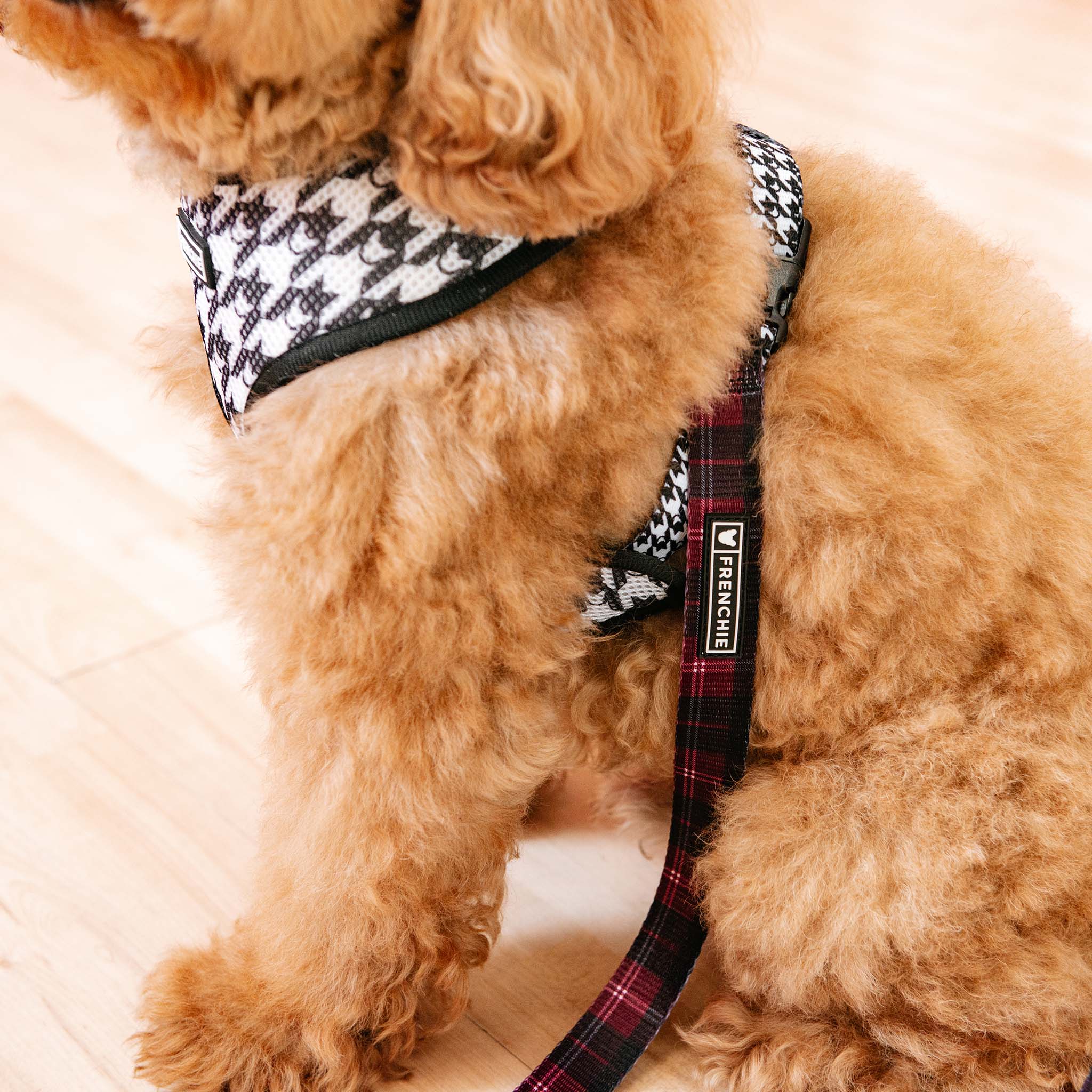 Frenchie - Wholesale Pet Leash - Dog - Frenchie Comfort Leash - Classic Plaid7
