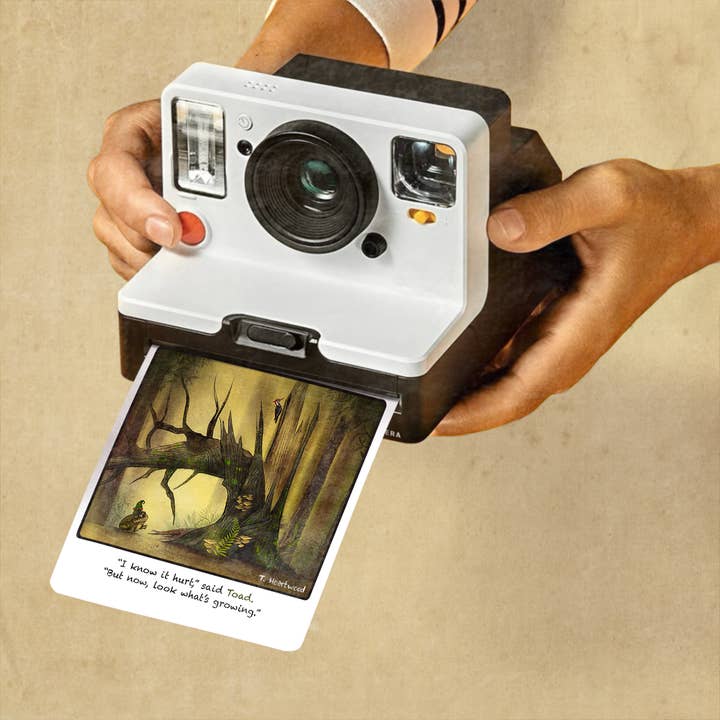 Dafri Studios – wholesale Encouragement card – Growing “Gnome&Toad” Polaroid Collection 1