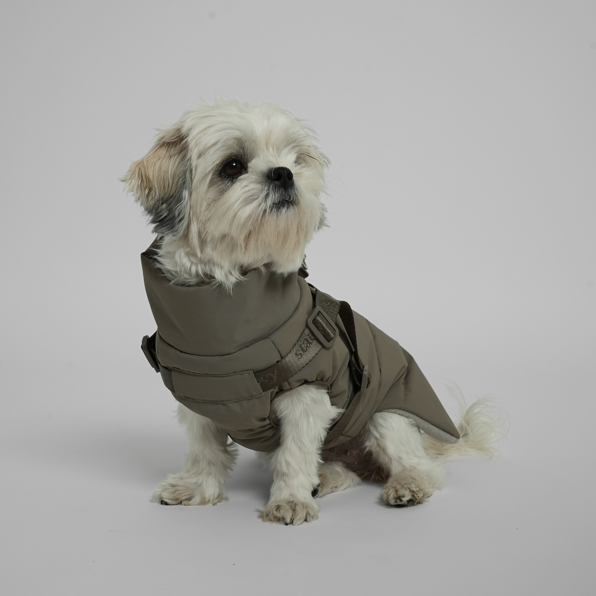 Staey - Wholesale Pet Coat - Dog - Vera Dog Coat with Harness | Sage6