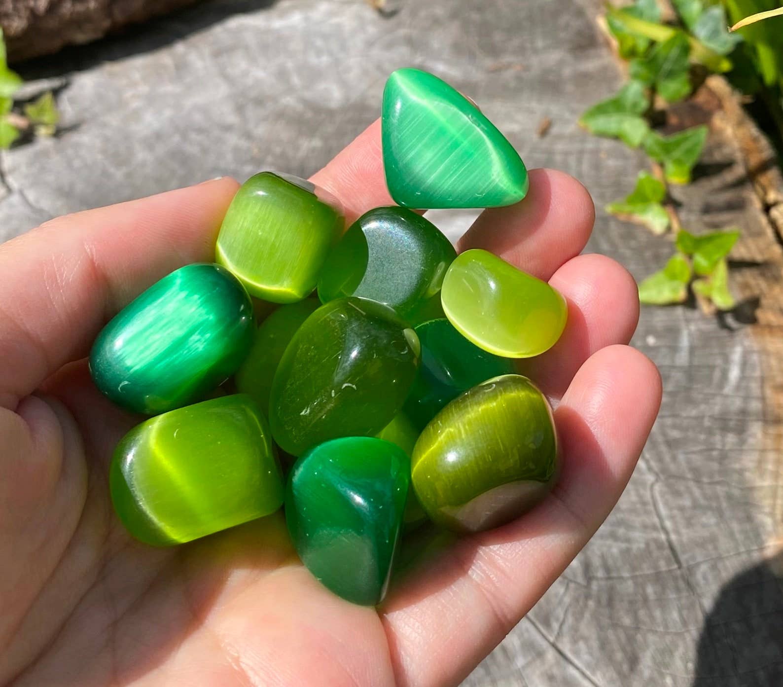 Elf Kendal Hippies – Engroshandel Spirituelle sten og krystaller – Katteøje tromlet 15-25mm sten af alf regnbue katteøje ædelstene5