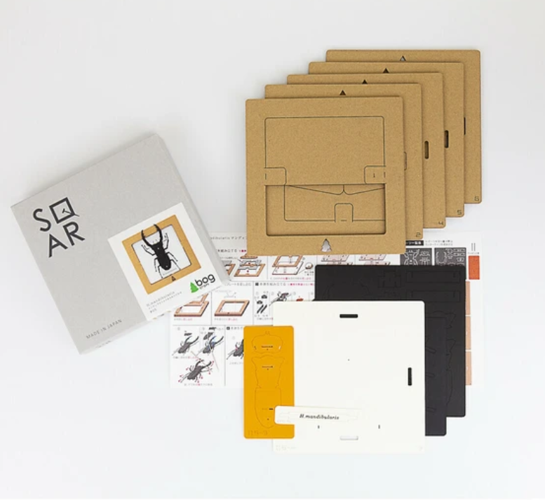 「FUNJI」In Japan - Wholesale DIY Craft Kit - Japanese Paper Craft Beetle Kit – H. Mandibularis Model3