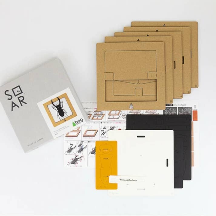「FUNJI」In Japan - Wholesale DIY Craft Kit - Japanese Paper Craft Beetle Kit – H. Mandibularis Model3