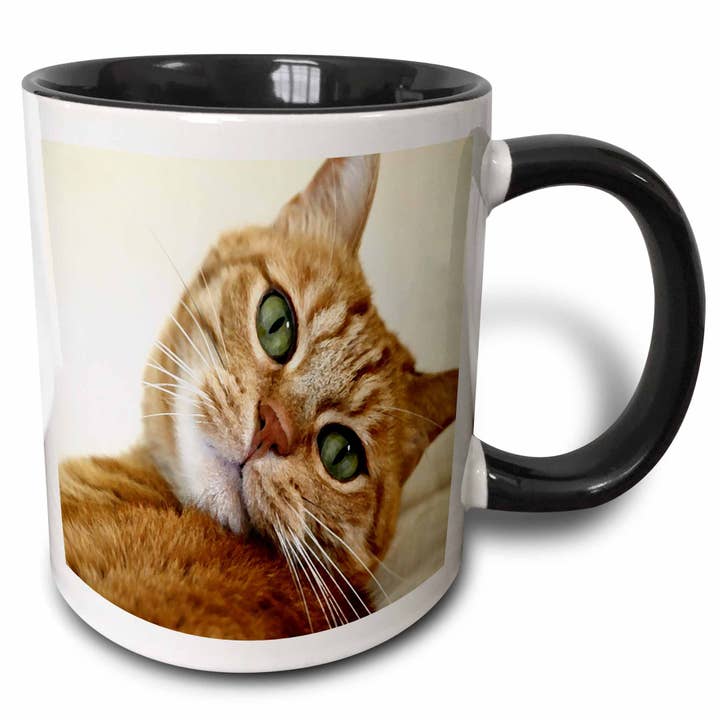 3dRose - Wholesale Coffee Mug - 11oz Two-Tone Black Mug Print of orange Tabby Cat Painting