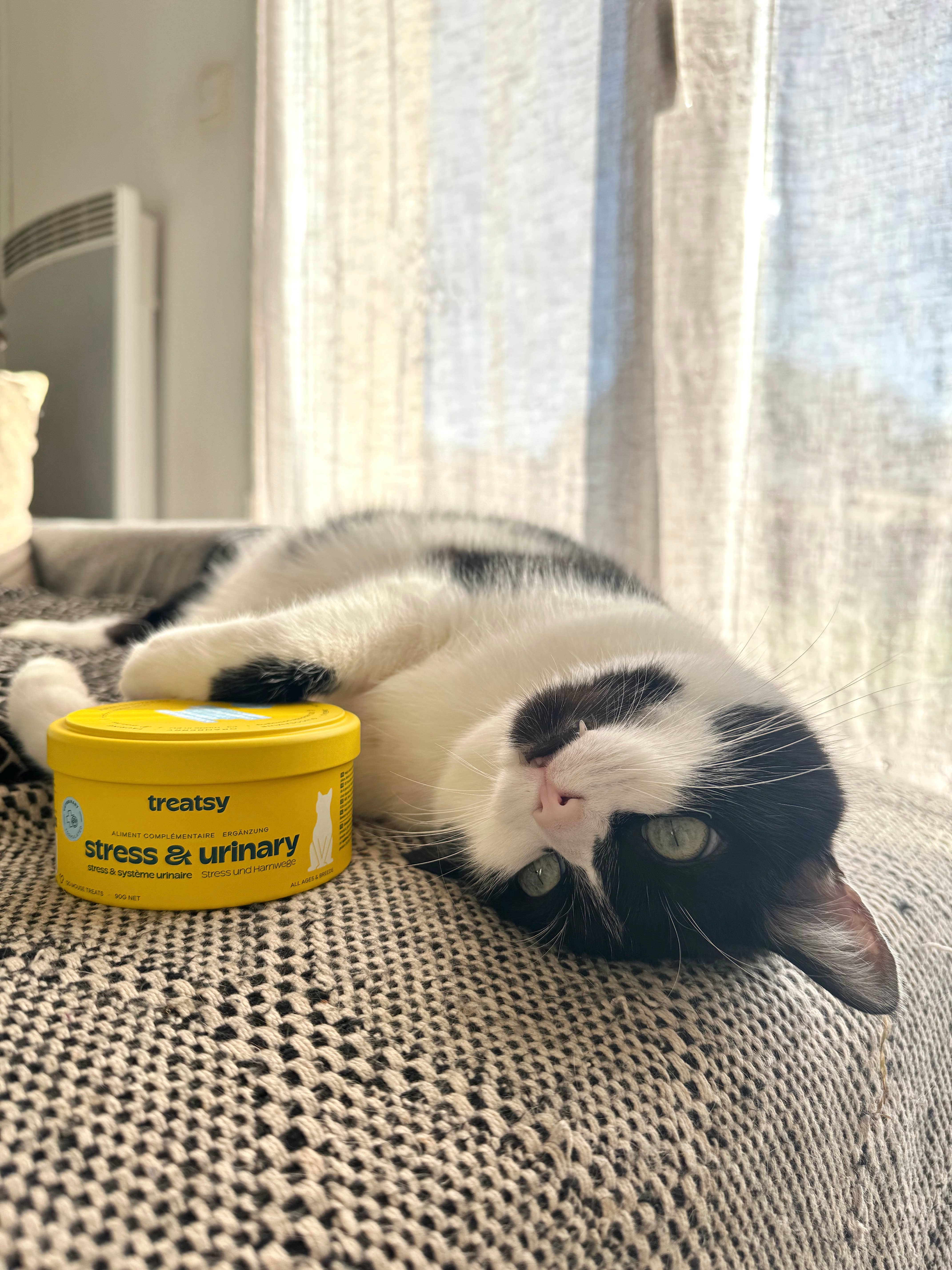 Treatsy - Wholesale Pet Supplement - Cat - Cat Stress & Urinary Supplement | Vet recommended | Fish & C10