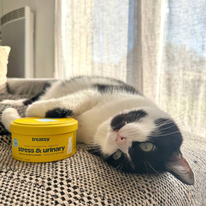 Treatsy - Wholesale Pet Supplement - Cat - Cat Stress & Urinary Supplement | Vet recommended | Fish & C10