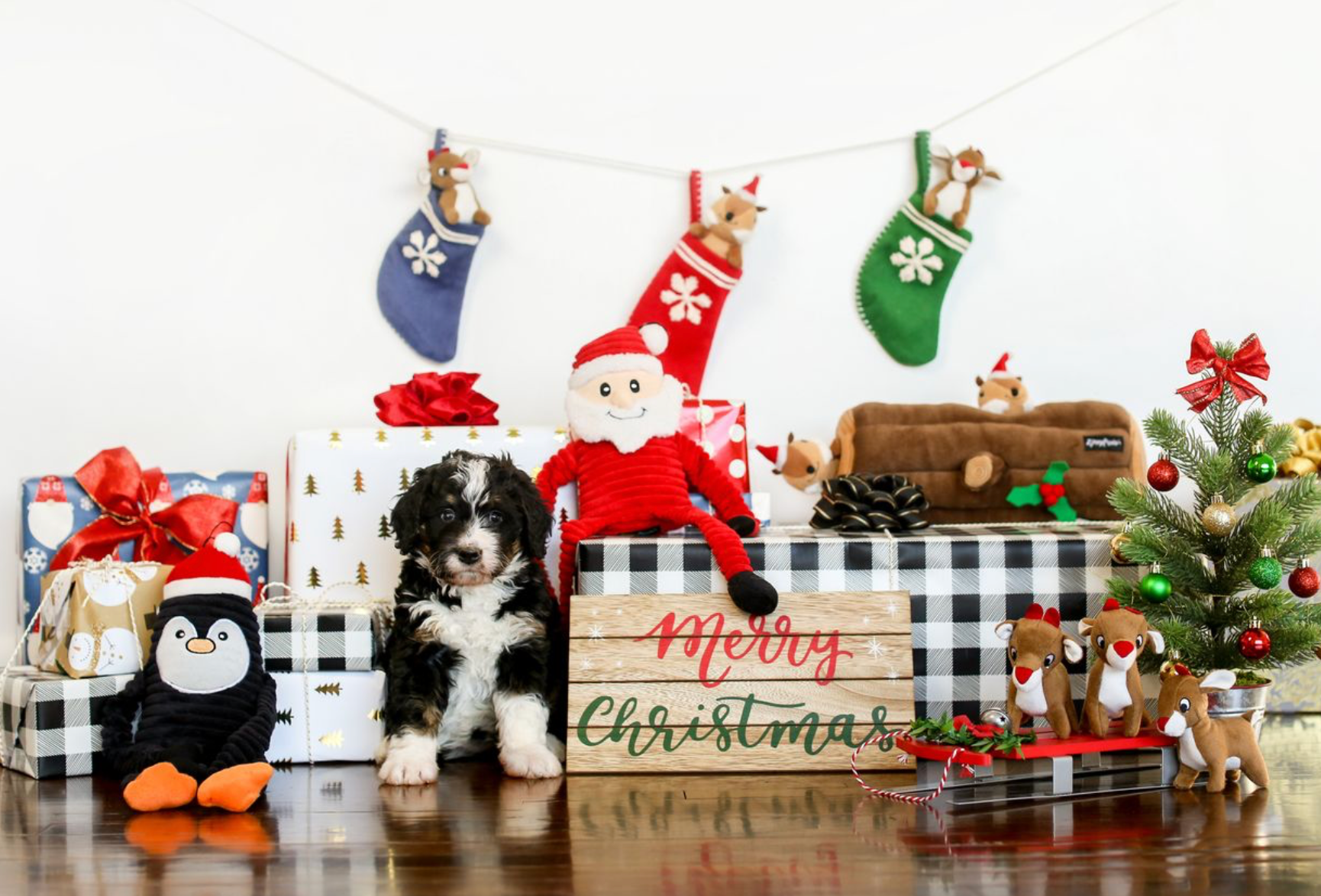 ZippyPaws - Vente Peluche – chien - Holiday Crinkle - Père Noël - Très grand - Jouet de Noël pour chien1