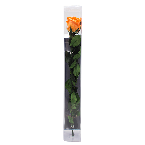Concari.flores Preservadas - Wholesale Artificial Flowers - ROSE WITH PRESERVED STEM5