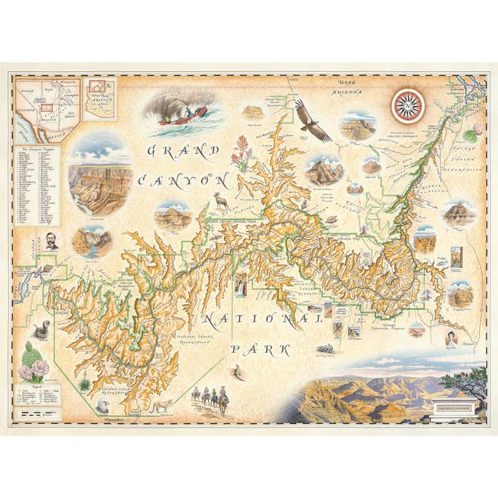 Grand Canyon National Park Hand-Drawn Map for wholesale by XPLORER MAPS