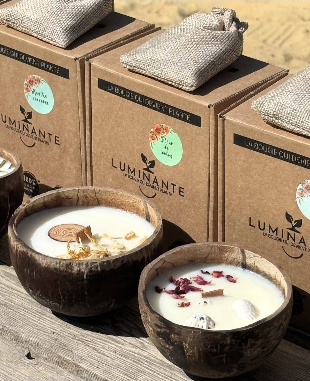 LUMINANTE - Wholesale Jar/Filled Candle - The candle that becomes a plant Oud Wood model "coco"1