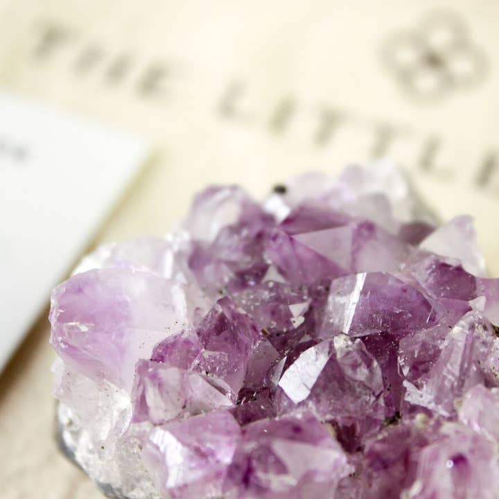 The Little Sage - Wholesale Spiritual stone/crystal - Intuition Amethyst Cluster