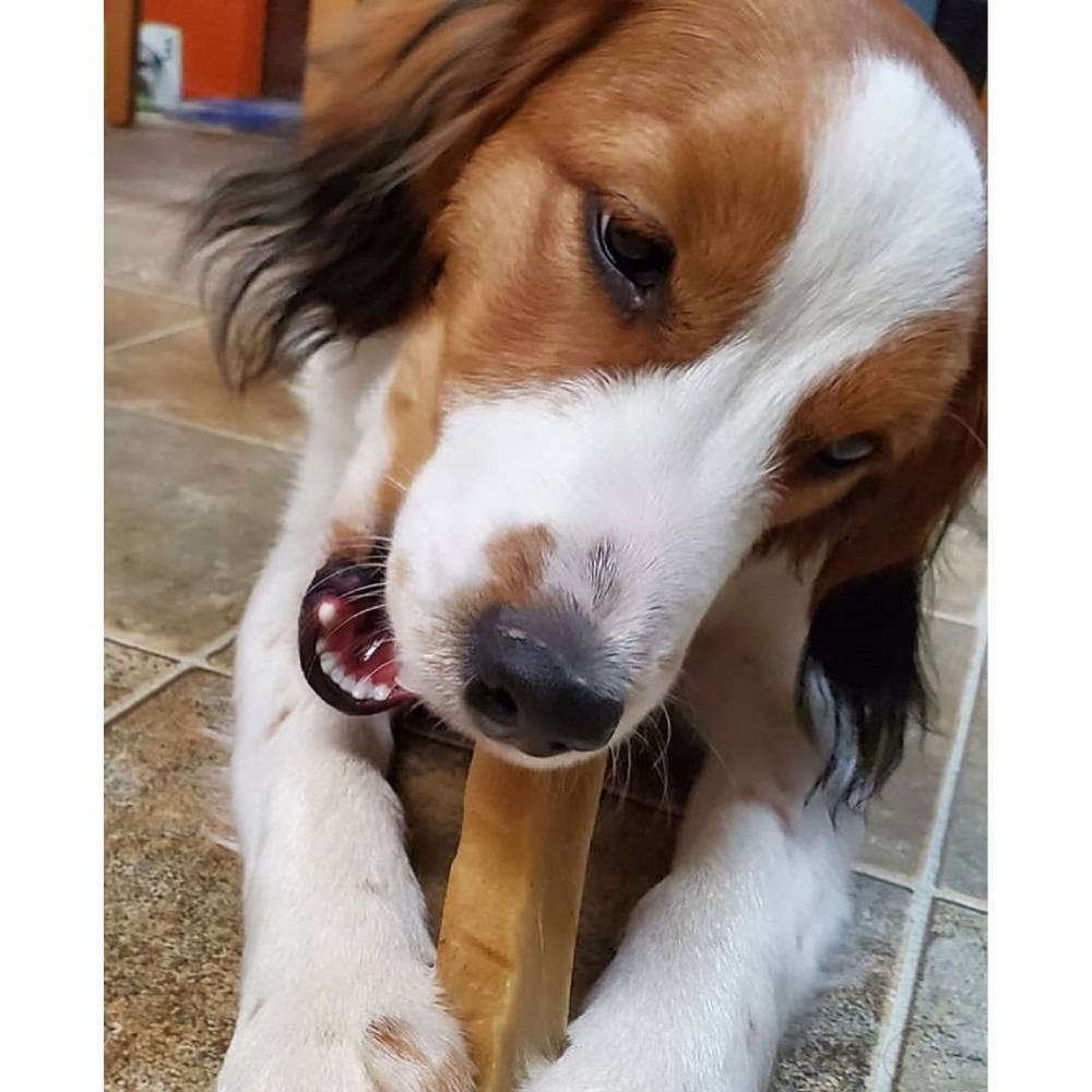 Yeti Dog Chew - Wholesale Hondenkoekjes - Hond - Yeti Chew Mango van 3 pond3